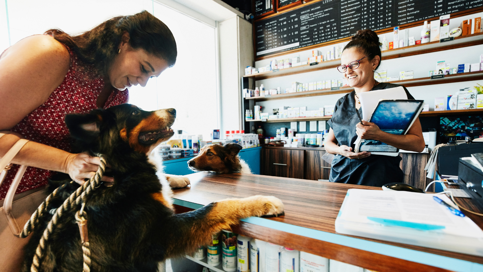 Maximizing Sales: 3 Effective Pet Store Display Strategies